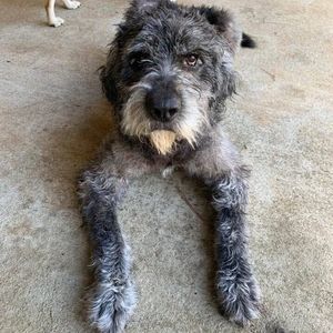 Meet your Posher, Lori